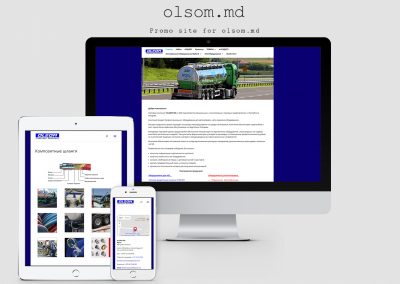 Site-ul companiei comerciale Olsom