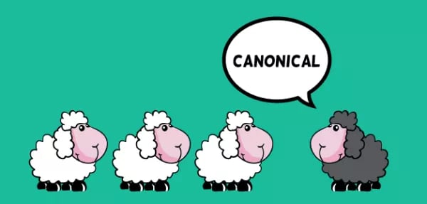rel-canonicalpng Что такое внутренние дубли страниц и как с ними бороться 8
