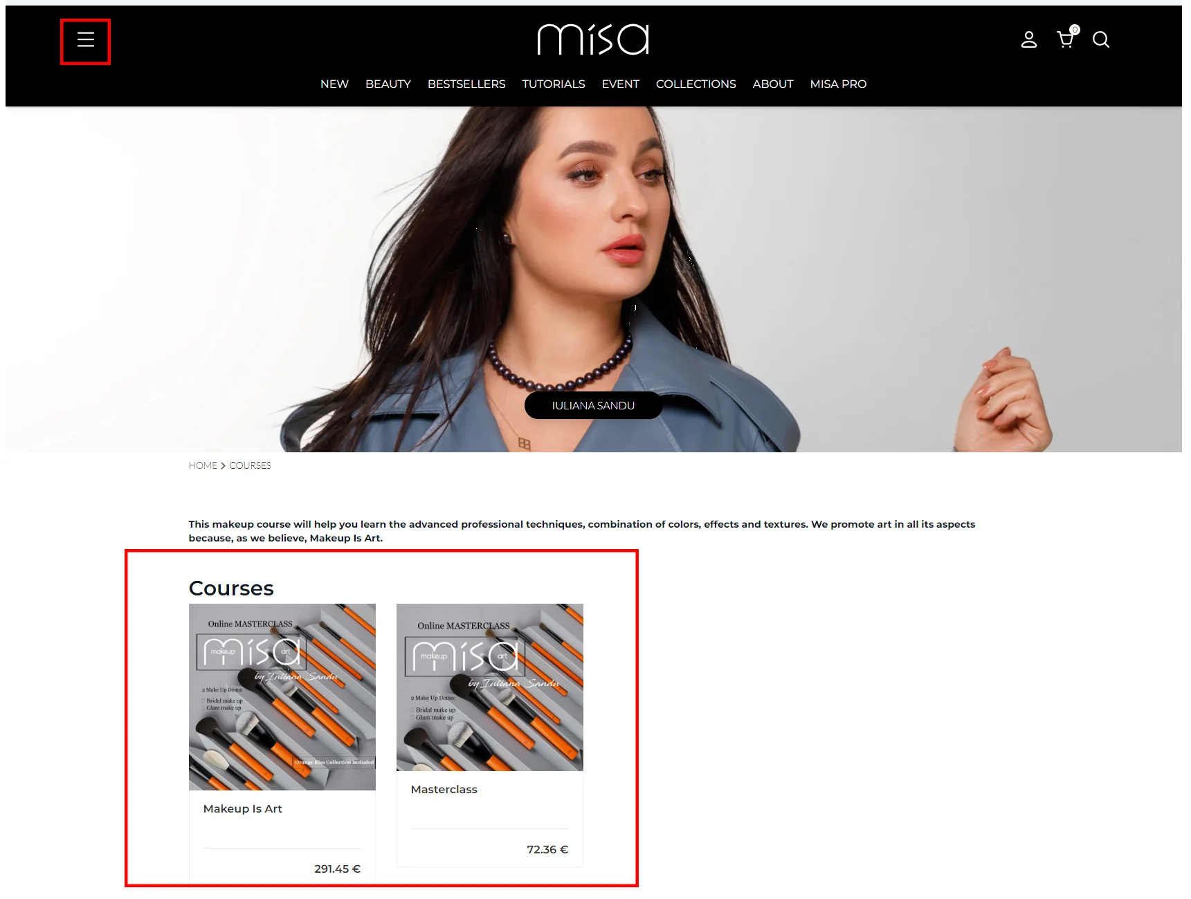 Online store of makeup brushes — Misastore.com 3