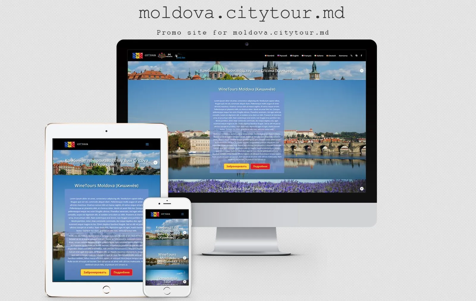 Туристический сайт компании Moldova City Tour 1