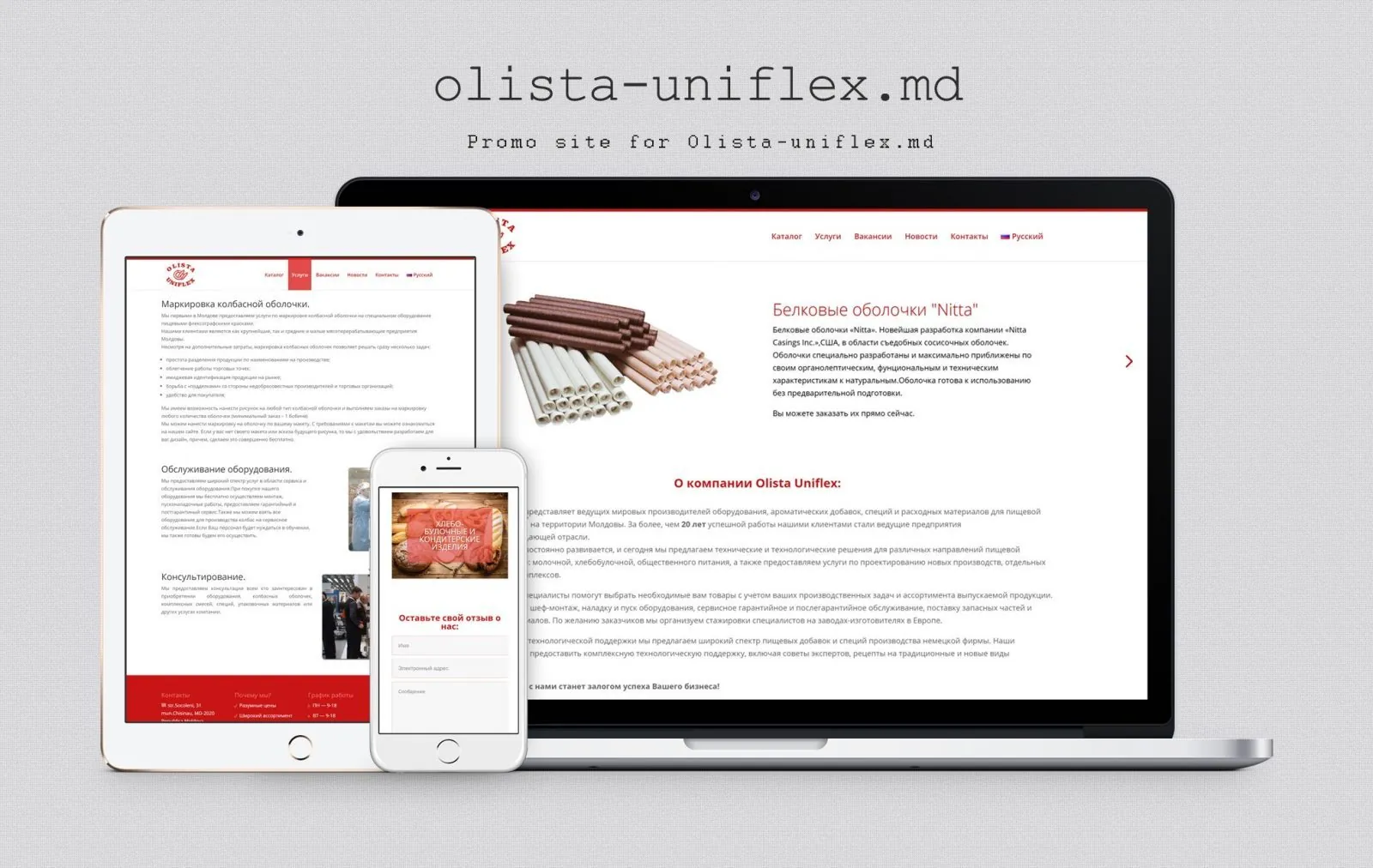 Сайт компании - Olista Uniflex 1