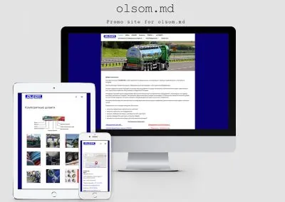 Site-ul companiei comerciale Olsom